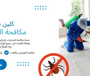مكافحة الحشرات في الرياض – شركة كلين سبوت